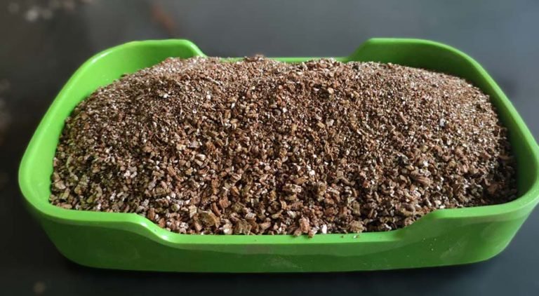 golden exfoliated vermiculite