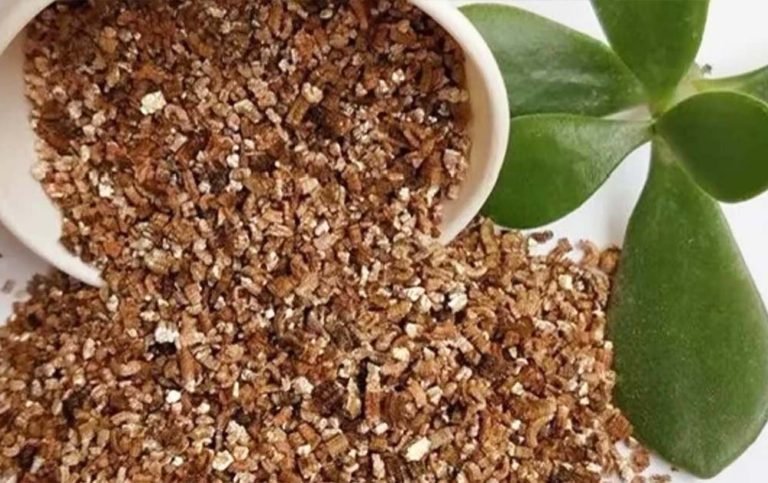 horticultural vermiculite