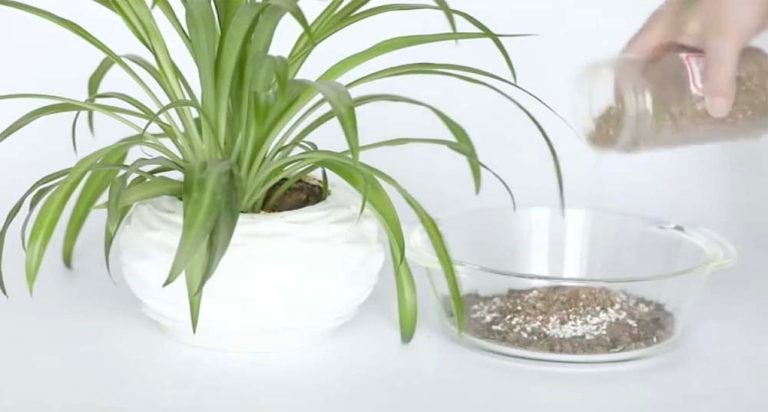 vermiculite for gardening