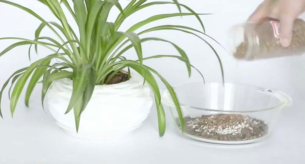 vermiculite for gardening