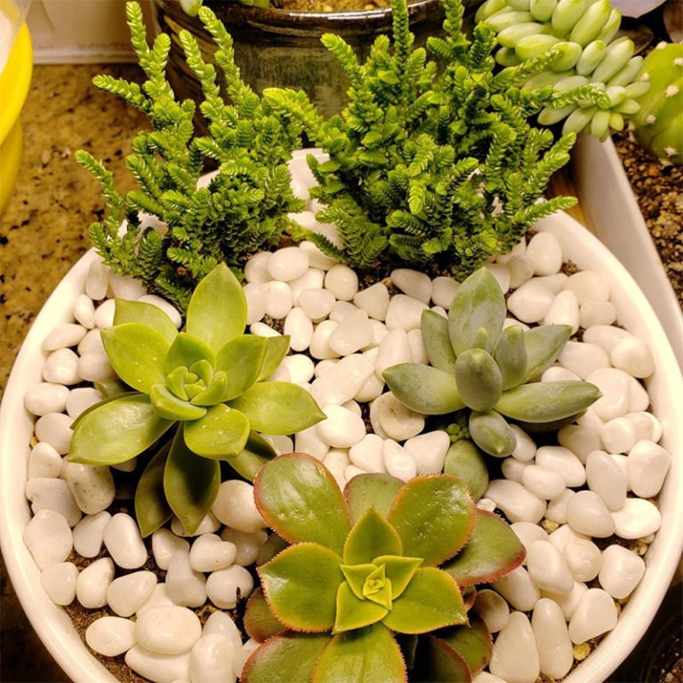 Natural White Gravel Stones for Landscaping, Driveway, Pebbles for Plants